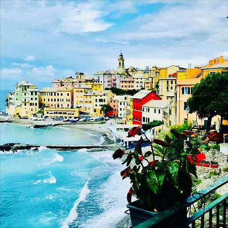 Cav Gli Ulivi Di Parcheggio Privato Gratuito Bogliasco