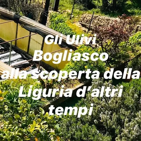 Dom wakacyjny Cav Gli Ulivi Di Parcheggio Privato Gratuito *