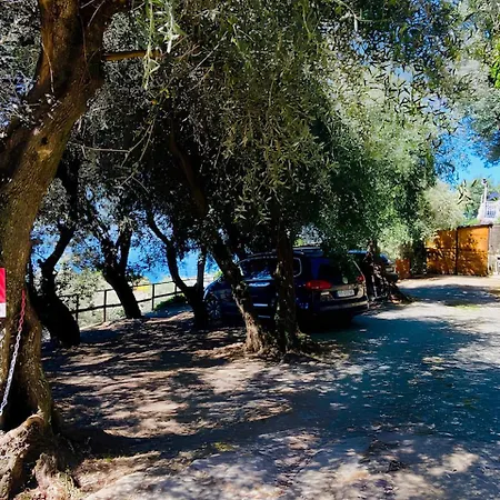 Cav Gli Ulivi Di Parcheggio Privato Gratuito Bogliasco