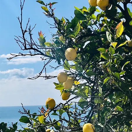 Cav Gli Ulivi Di Parcheggio Privato Gratuito * Bogliasco