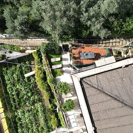 Holiday home Cav Gli Ulivi Di Parcheggio Privato Gratuito Bogliasco