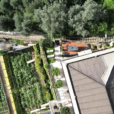 Cav Gli Ulivi Di Parcheggio Privato Gratuito Holiday home