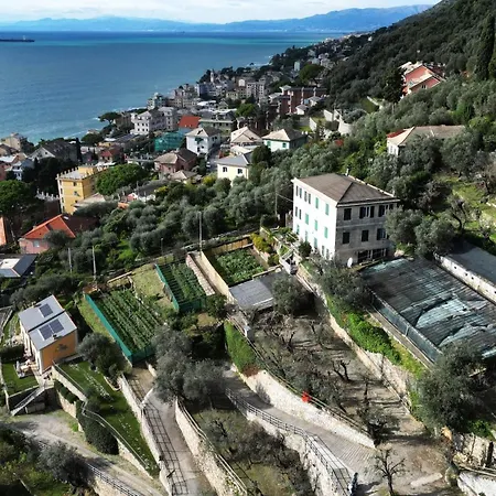 Holiday home Cav Gli Ulivi Di Parcheggio Privato Gratuito Bogliasco