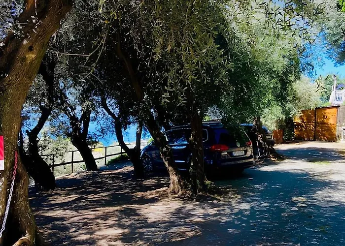 Cav Gli Ulivi Di Parcheggio Privato Gratuito Bogliasco