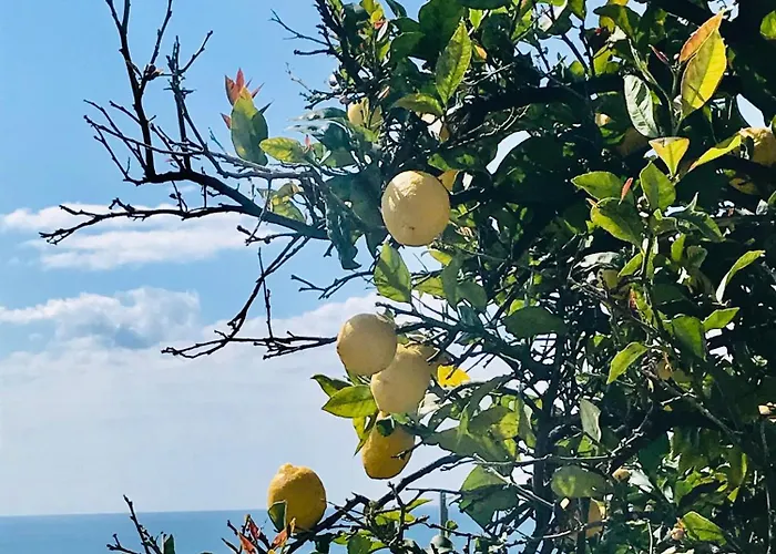 Cav Gli Ulivi Di Parcheggio Privato Gratuito * Bogliasco