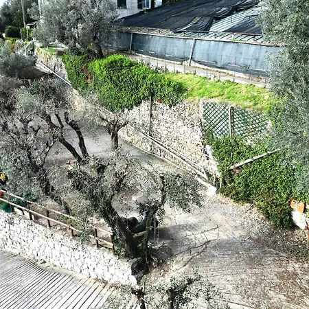 Cav Gli Ulivi Di Parcheggio Privato Gratuito Nyaraló Bogliasco