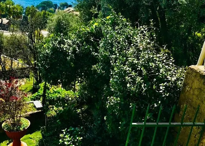 Cav Gli Ulivi Di Parcheggio Privato Gratuito Bogliasco