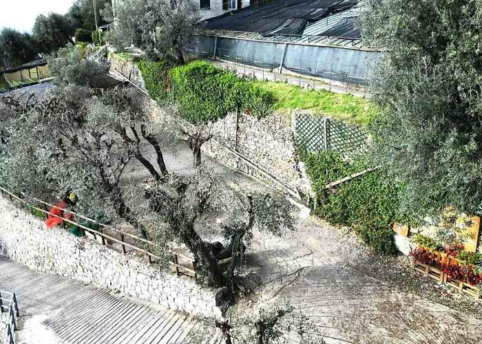 Cav Gli Ulivi Di Parcheggio Privato Gratuito Semesterbostad Bogliasco
